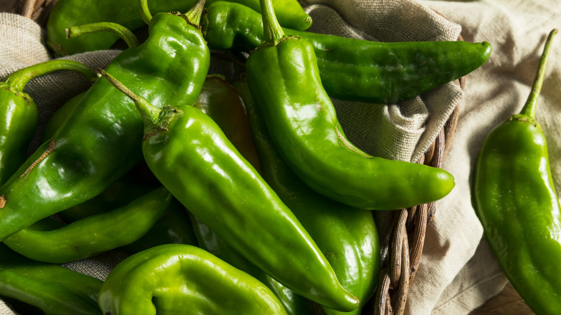 When are Hatch Green Chiles in Season